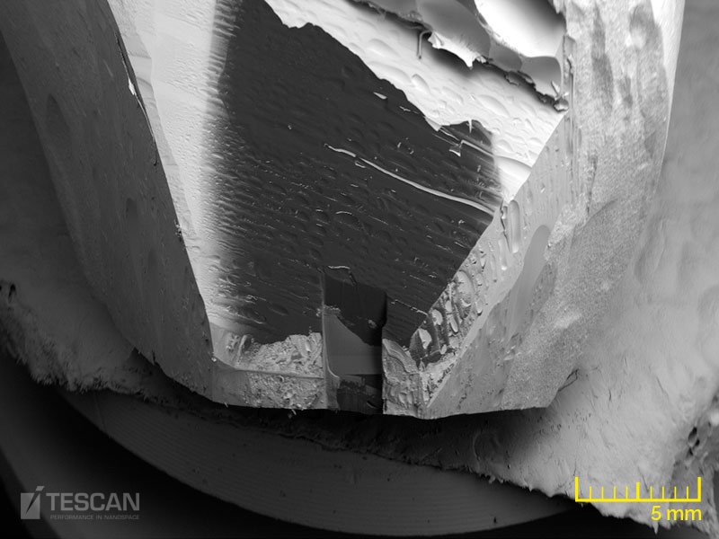Large area FIB-SEM cross-section in a resin-embedded tooth