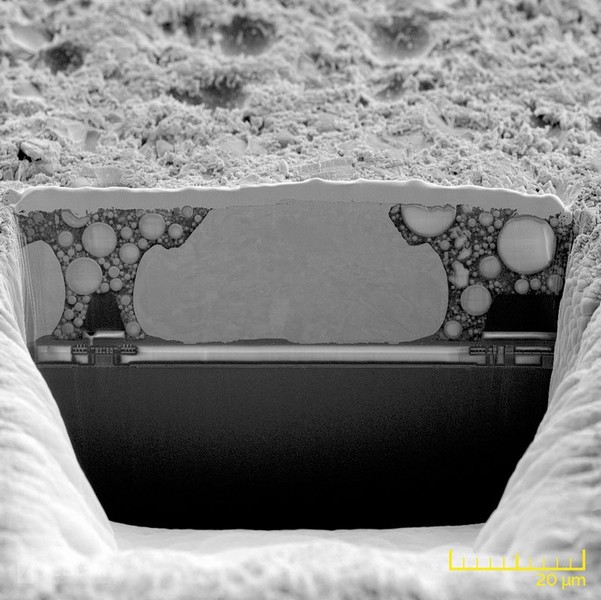 Cross-section ball bonds embedded in resin