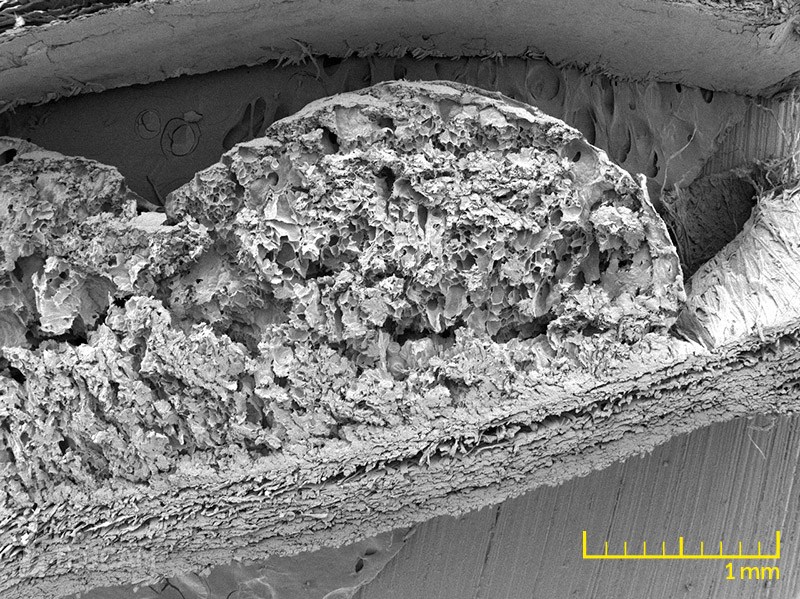 Paper with the layer of polymers