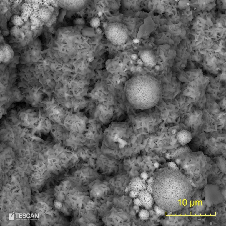 Iron oxide encrustation on a rock fracture