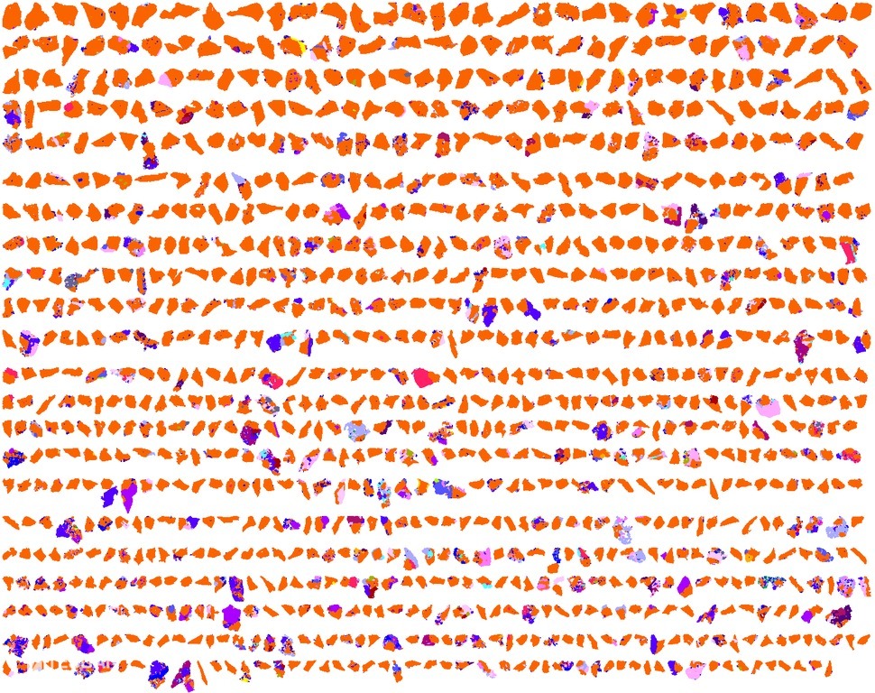 Copper ore particles sorted according to the chalcopyrite content