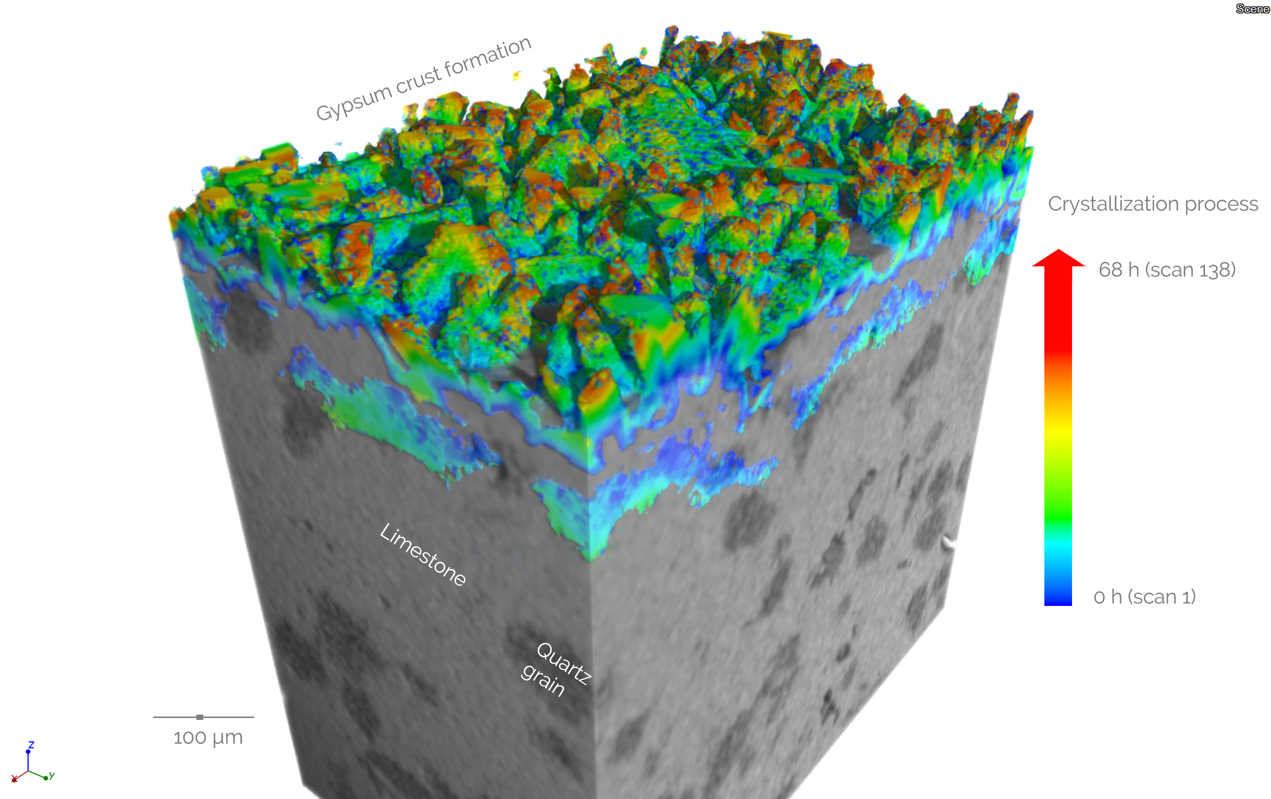 In situ mineralization of Limestone - formation of gypsum crust