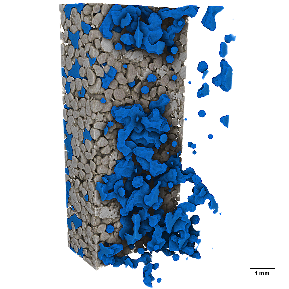 Dynamic C02 dissolution in a sandpack