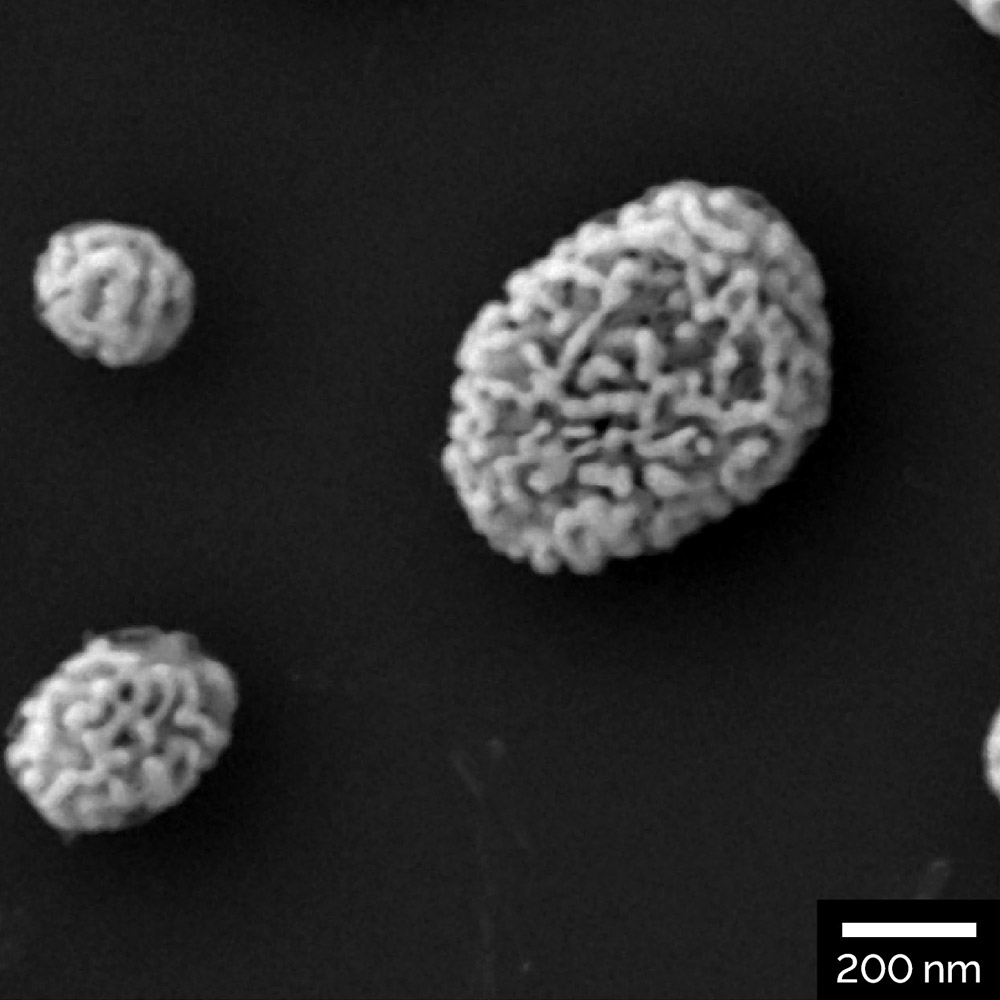 Nanoporous gold on Si