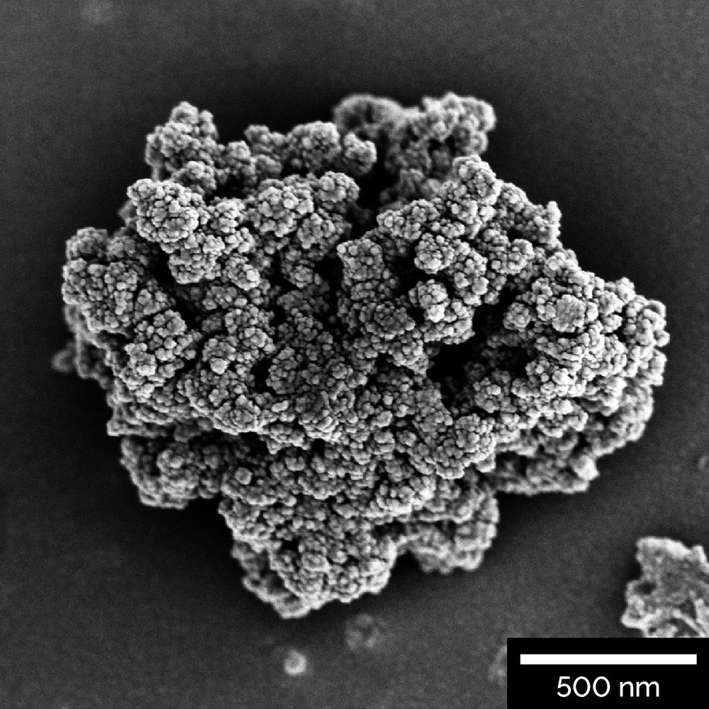 Activated carbon doped with metallic nanoparticles visualized with In-Beam SE detector at accelerated voltage of 2 keV