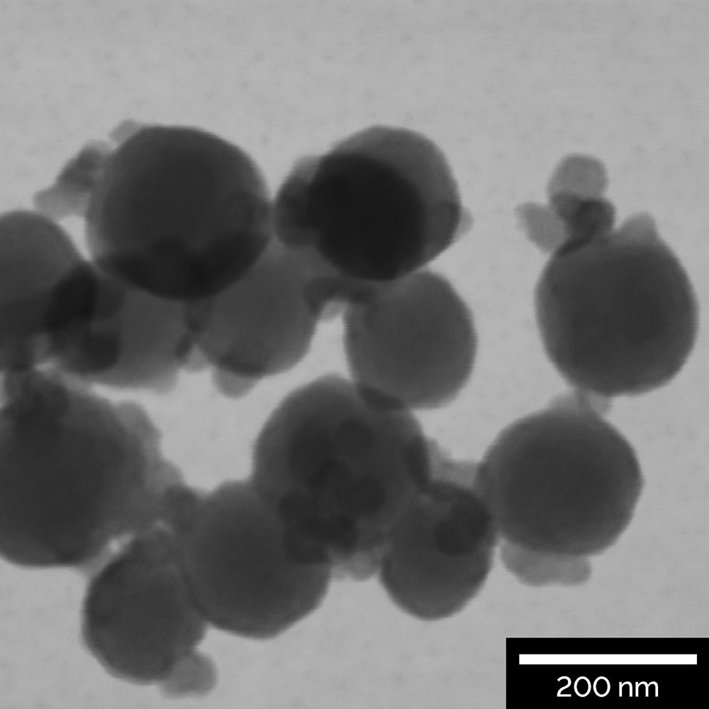 Morphology_of nanoparticles used in drug delivery research visualized by R-STEM detector at 30 keV